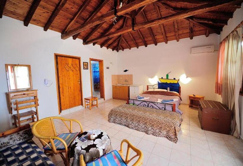 スタンダードルーム, Azalea