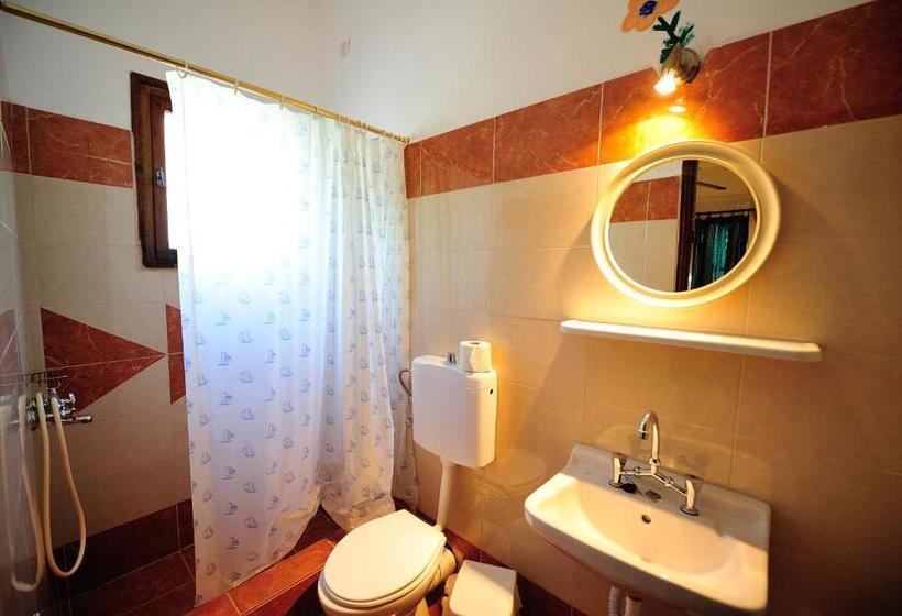 スタンダードスタジオ, Azalea