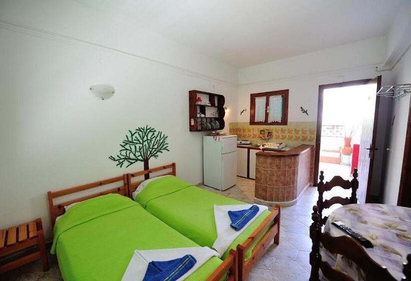 スタンダードスタジオ, Azalea