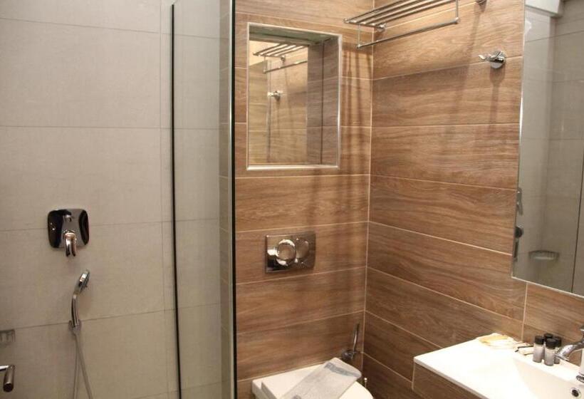 スタンダードシングルルーム, Alexiou