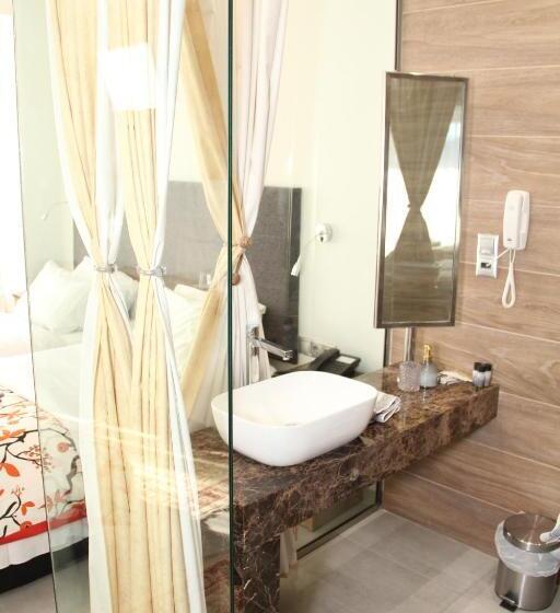 スタンダードルーム, Alexiou