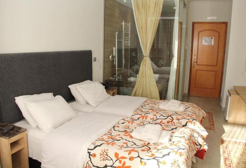 スタンダードトリプルルーム, Alexiou