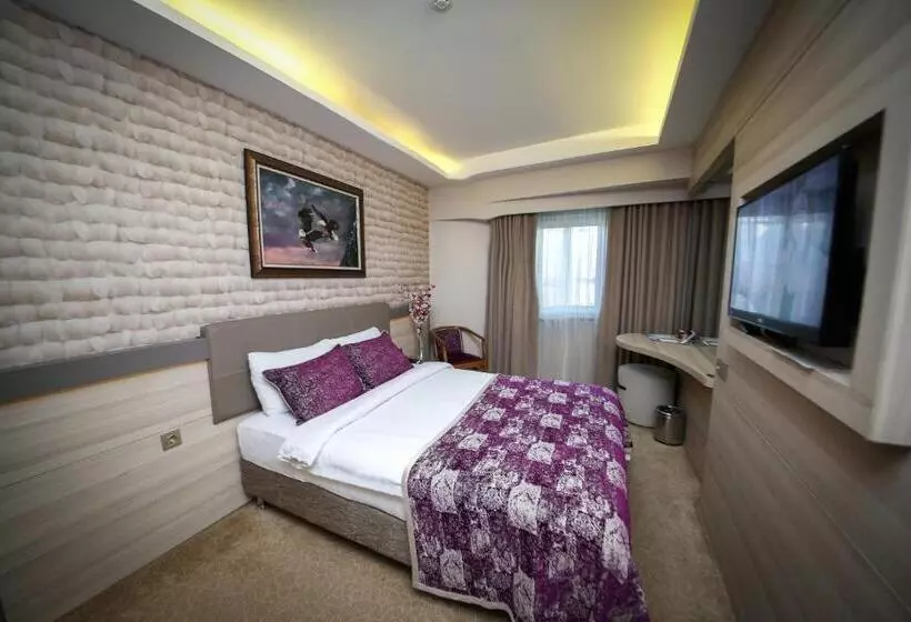 اتاق استاندارد, Asya