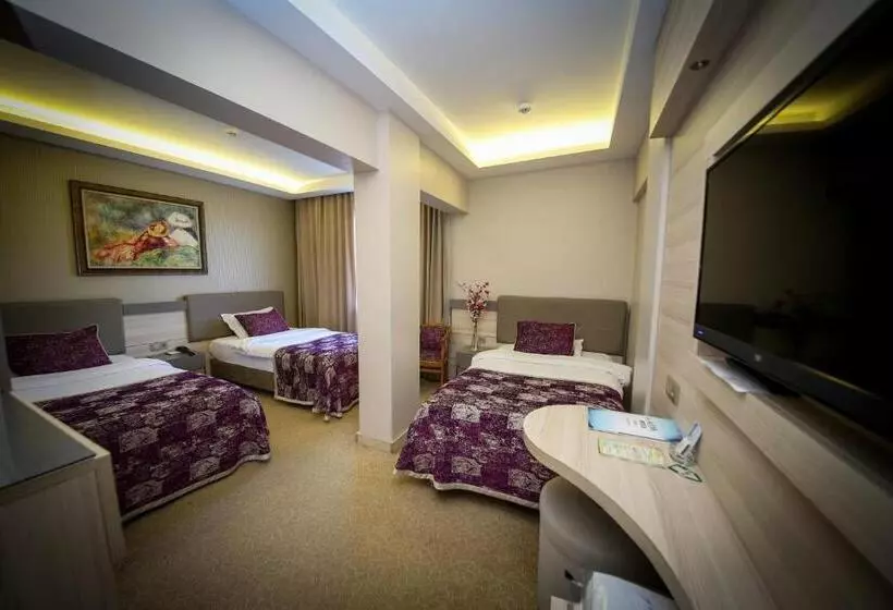 اتاق استاندارد سه نفره, Asya
