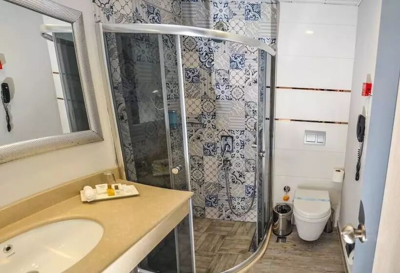 اتاق استاندارد, Asya