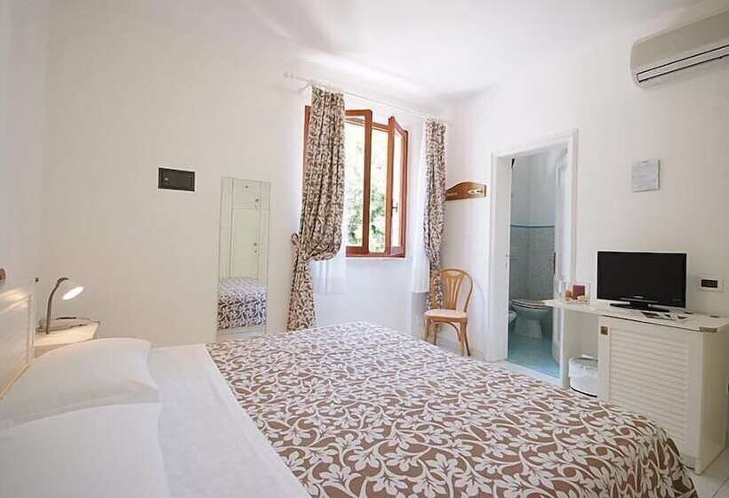 Номер Стандарт, Valle Verde