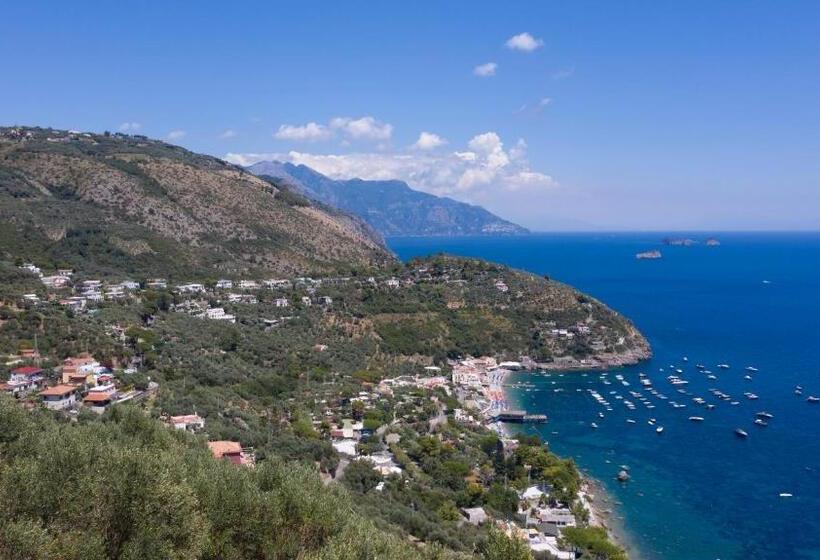 דירת חדר עם טרסה, Olga's Relais