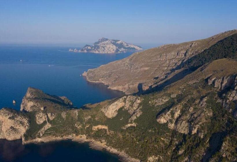 דירת חדר נוף לבריכה, Olga's Relais