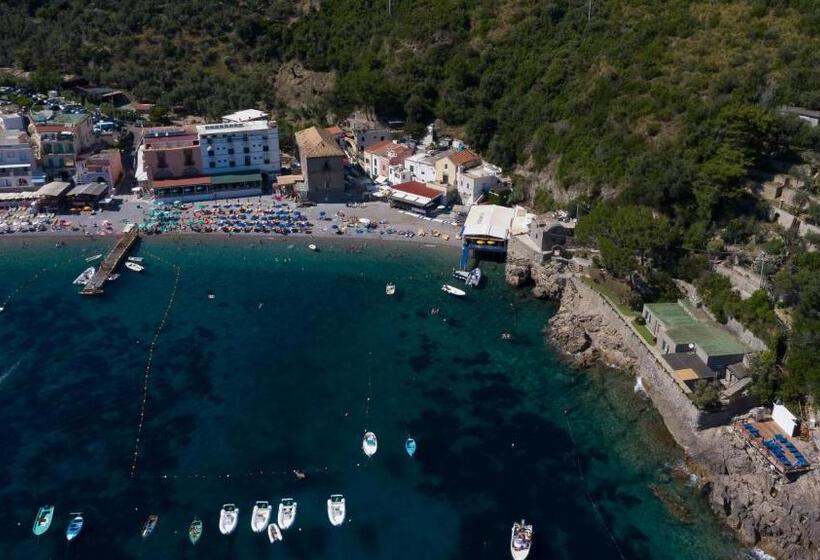 דירת חדר נוף לבריכה, Olga's Relais