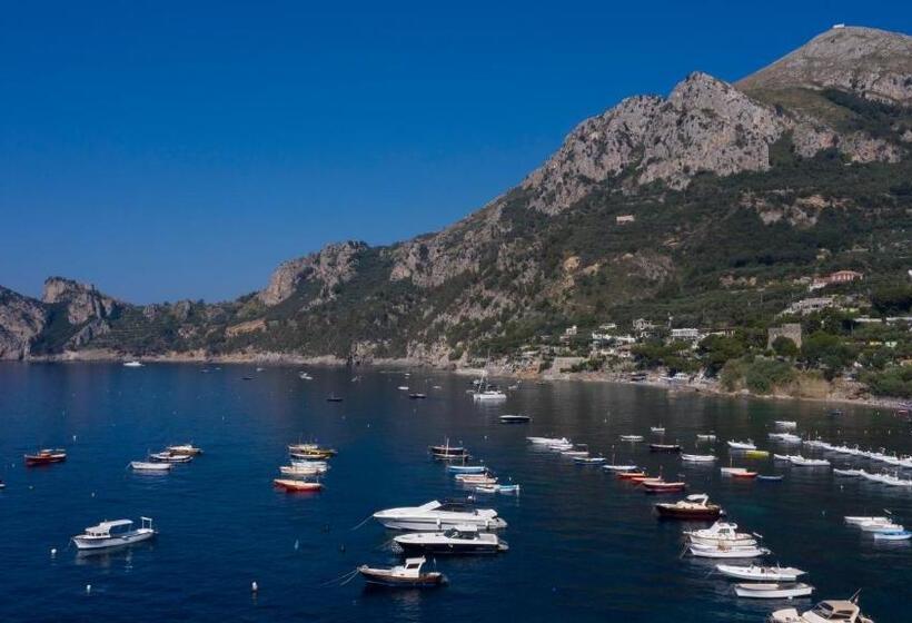 דירת חדר עם טרסה, Olga's Relais