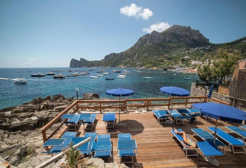 Апартаменты 3 Спальни, Olga's Relais