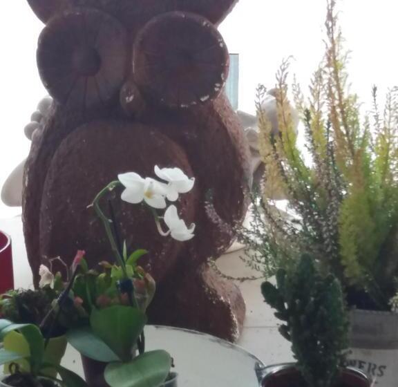 חדר סטנדרט נוף להרים, Villa Los Angeles Piscine Privée Pour 20 Personnes