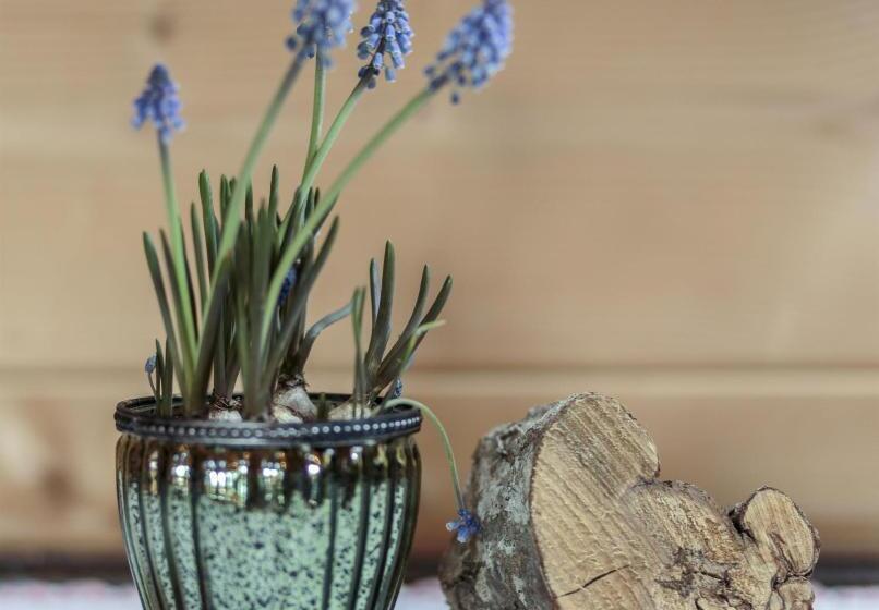 带2个卧室的公寓, Bauernhof Glanzern