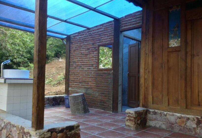 Ekonomiskt Rum, Cocohuts