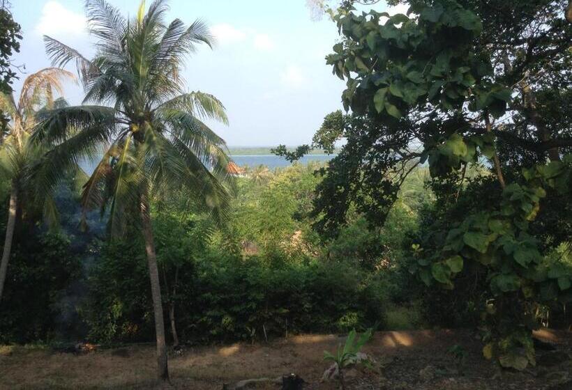 Ekonomiskt Rum, Cocohuts