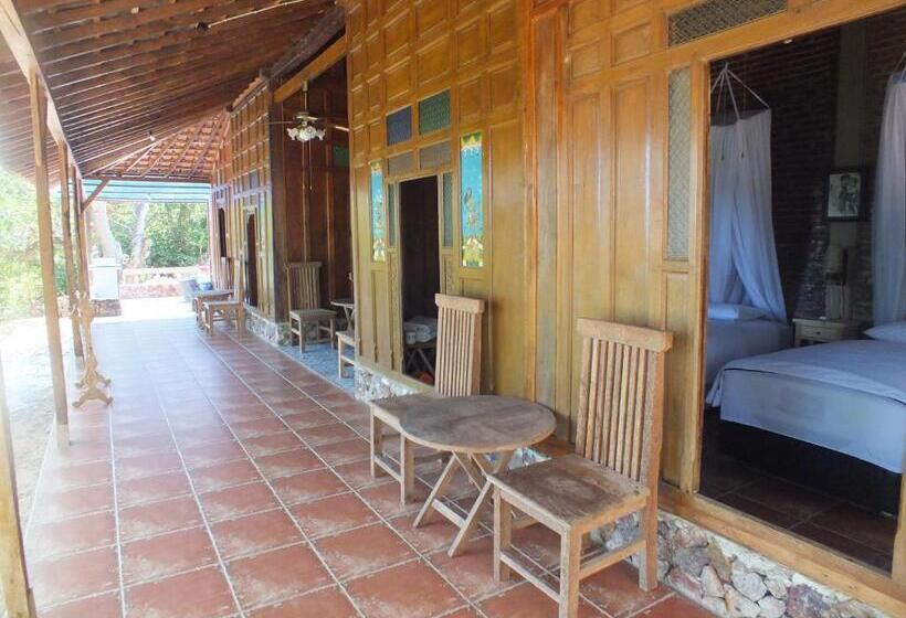 Ekonomiskt Rum, Cocohuts