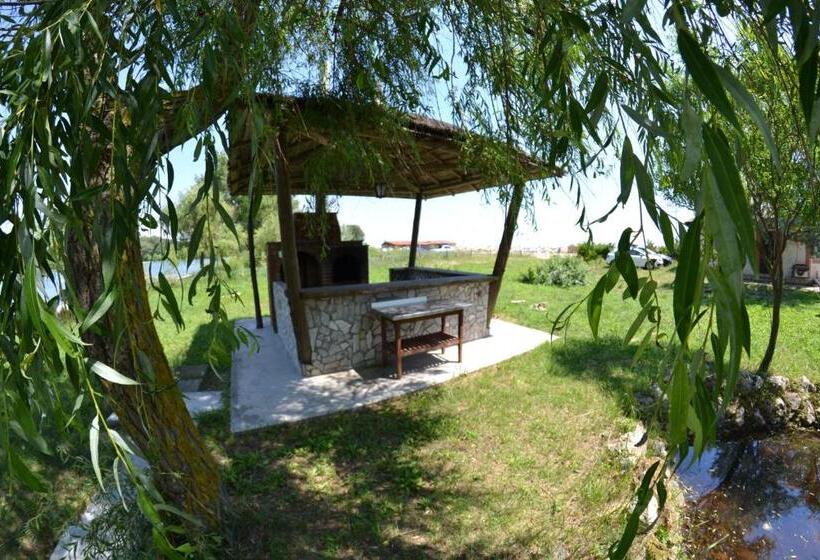 بنجلو قياسى, Complex Amazon