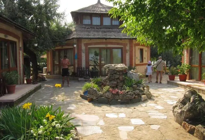 Bungalow Standard, Complex Amazon