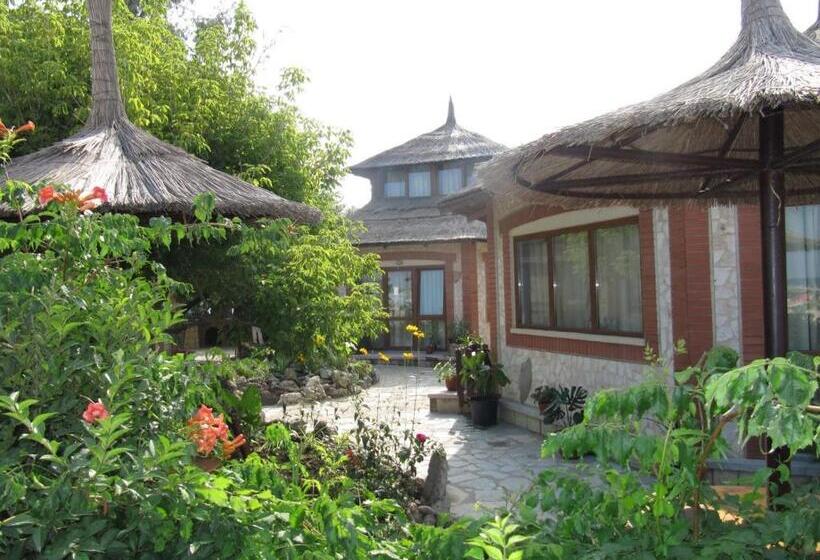 بنجلو قياسى, Complex Amazon