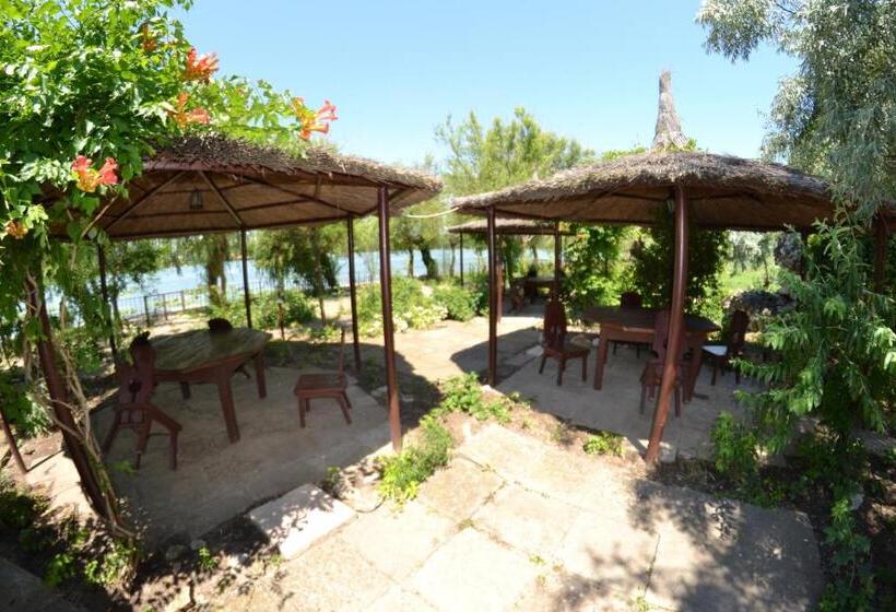 بنجلو قياسى, Complex Amazon