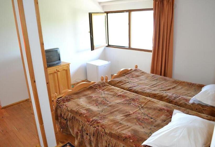 غرفة إقتصادية, Complex Amazon