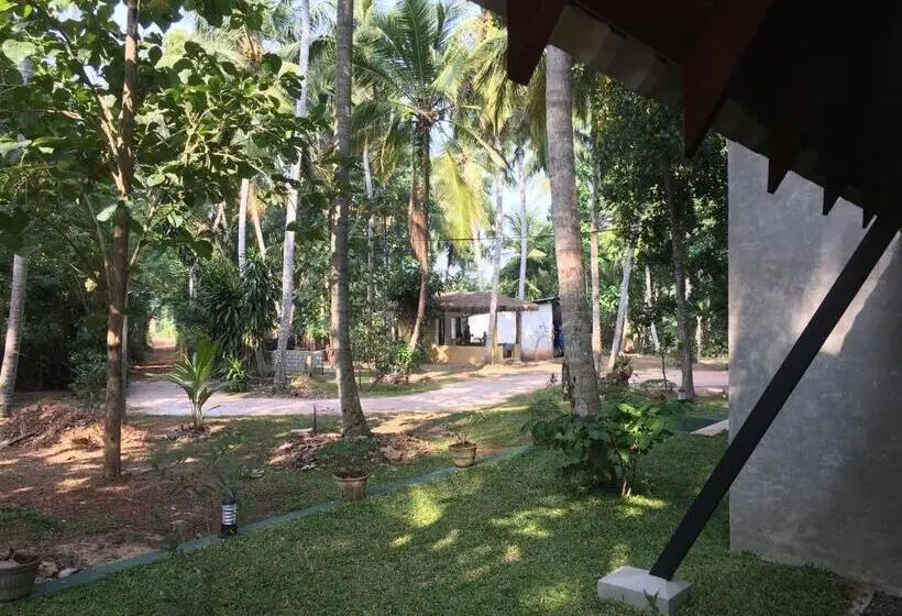 デラックスバンガロー, Elegant Hamlets Home Stay
