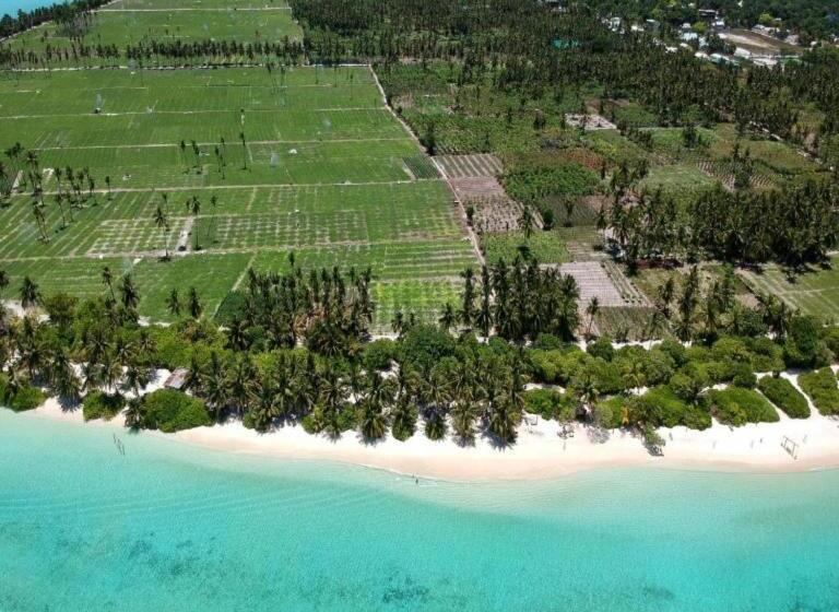 اتاق استاندارد, Thoddoo Haisha Inn, Maldives
