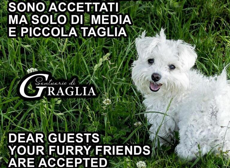 Трехместный Номер Superior, Santuario Di Graglia Resort