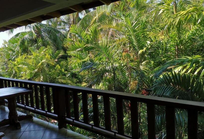 스탠다드 스튜디오, Costa Verde