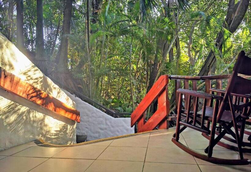 스탠다드 룸, Costa Verde