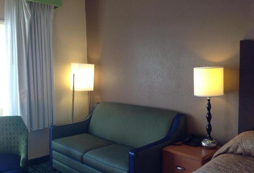 스탠다드 룸 킹사이즈 침대, Diamond Inn & Suites