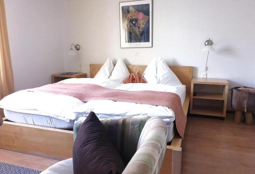 Номер Комфорт, Palazzo Mysanus Samedan