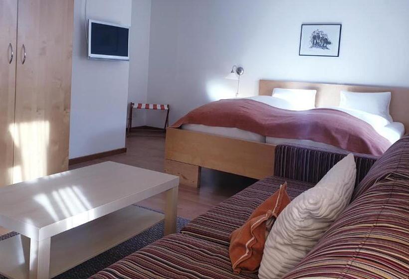 Номер Superior, Palazzo Mysanus Samedan