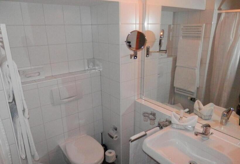 Номер Superior, Palazzo Mysanus Samedan