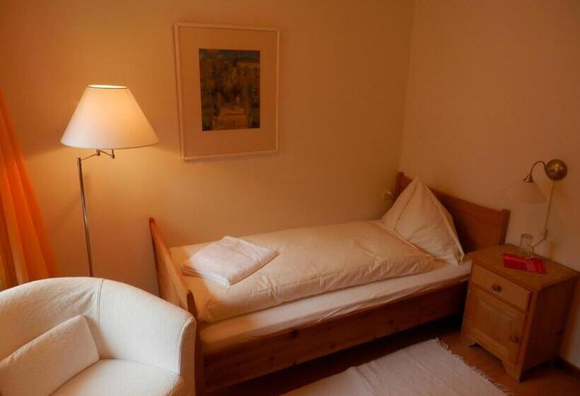 Номер Стандарт Индивидуальный, Palazzo Mysanus Samedan