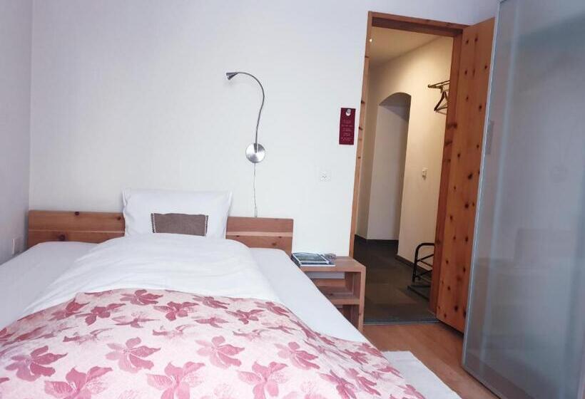 Номер Superior Одноместный, Palazzo Mysanus Samedan