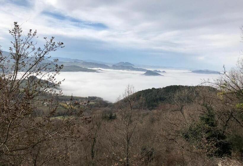 اتاق استاندارد چهار تخته, Silvana