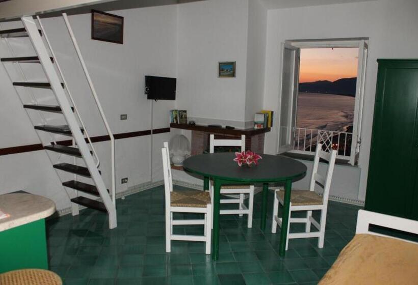 استودیوی استاندارد, Florenza Residence