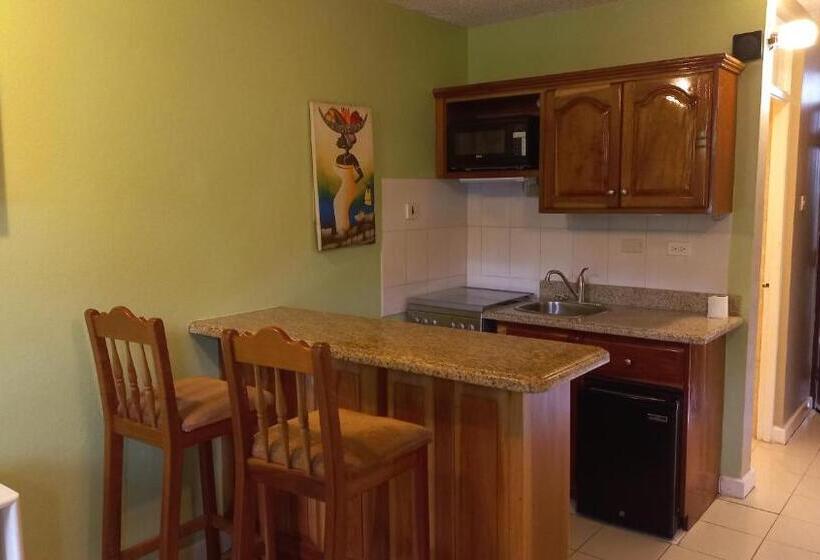 استودیوی استاندارد, Beach Studio 9