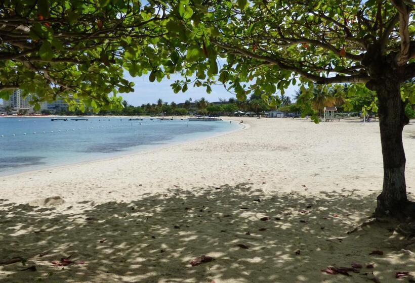 استودیوی استاندارد, Beach Studio 9