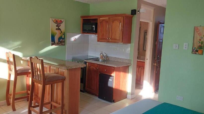 استودیوی استاندارد, Beach Studio 9