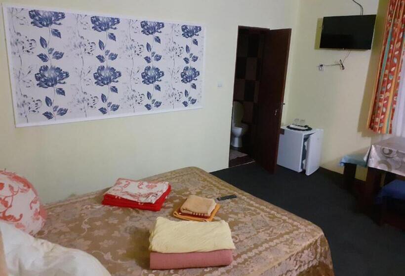 اتاق استاندارد چهار تخته, Vila Vlad