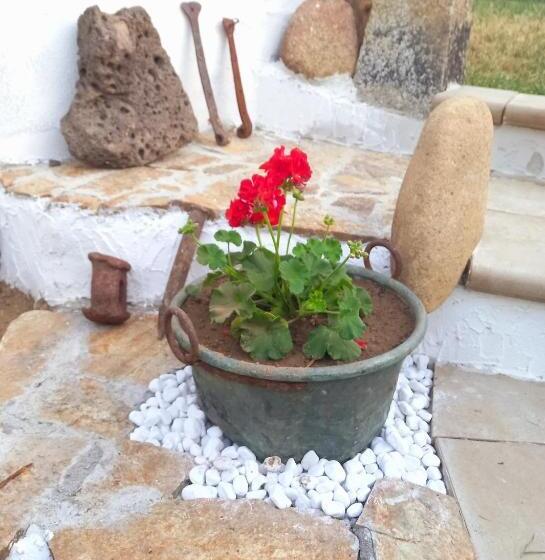 חדר סטנדרט נוף לגינה, Un Tuffo Nel Passato B&b Santu Giuvanni