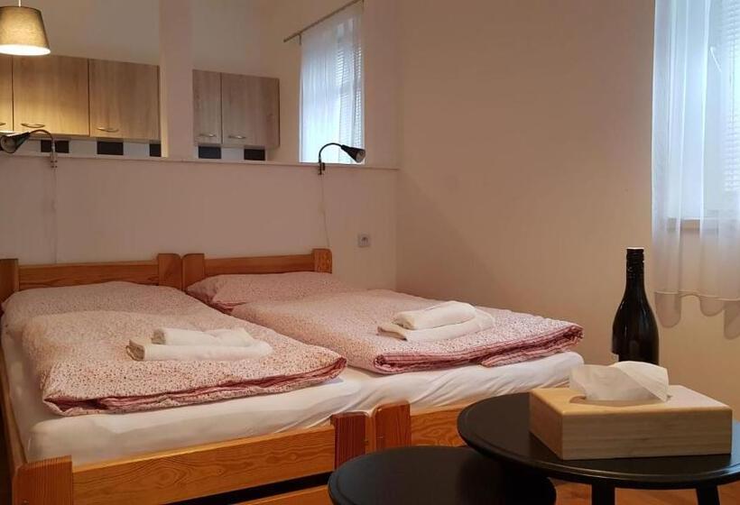 غرفة قياسية, Pension Family