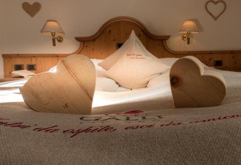 اتاق استاندارد, Galli