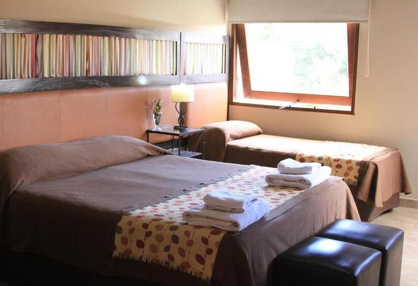 Номер Стандарт Трехместный, Munay Hotel Cafayate