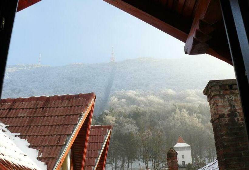 スタンダードシングルルーム, Natural