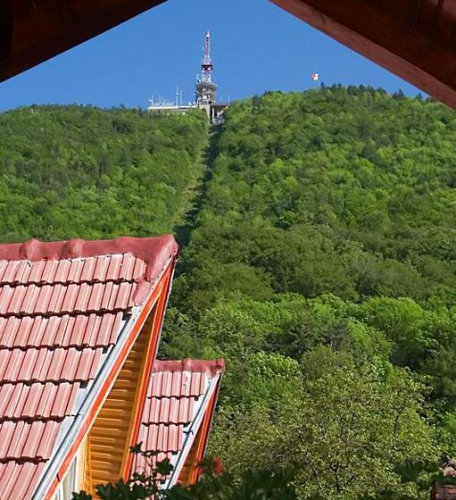 ベーシックルーム, Natural