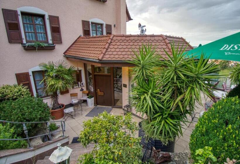 Panoramik Manzaralı Standart Oda, Neckarblick Self Check In