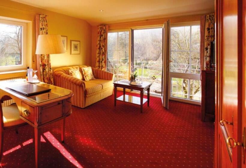 חדר סטנדרט נוף לגינה, Rebstock Durbach